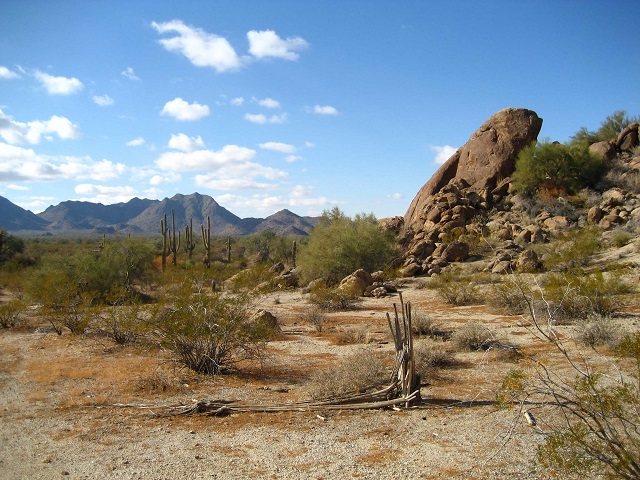 Reserva de la Biosfera El Pinacate y Gran Desierto de Altar, Sonora.